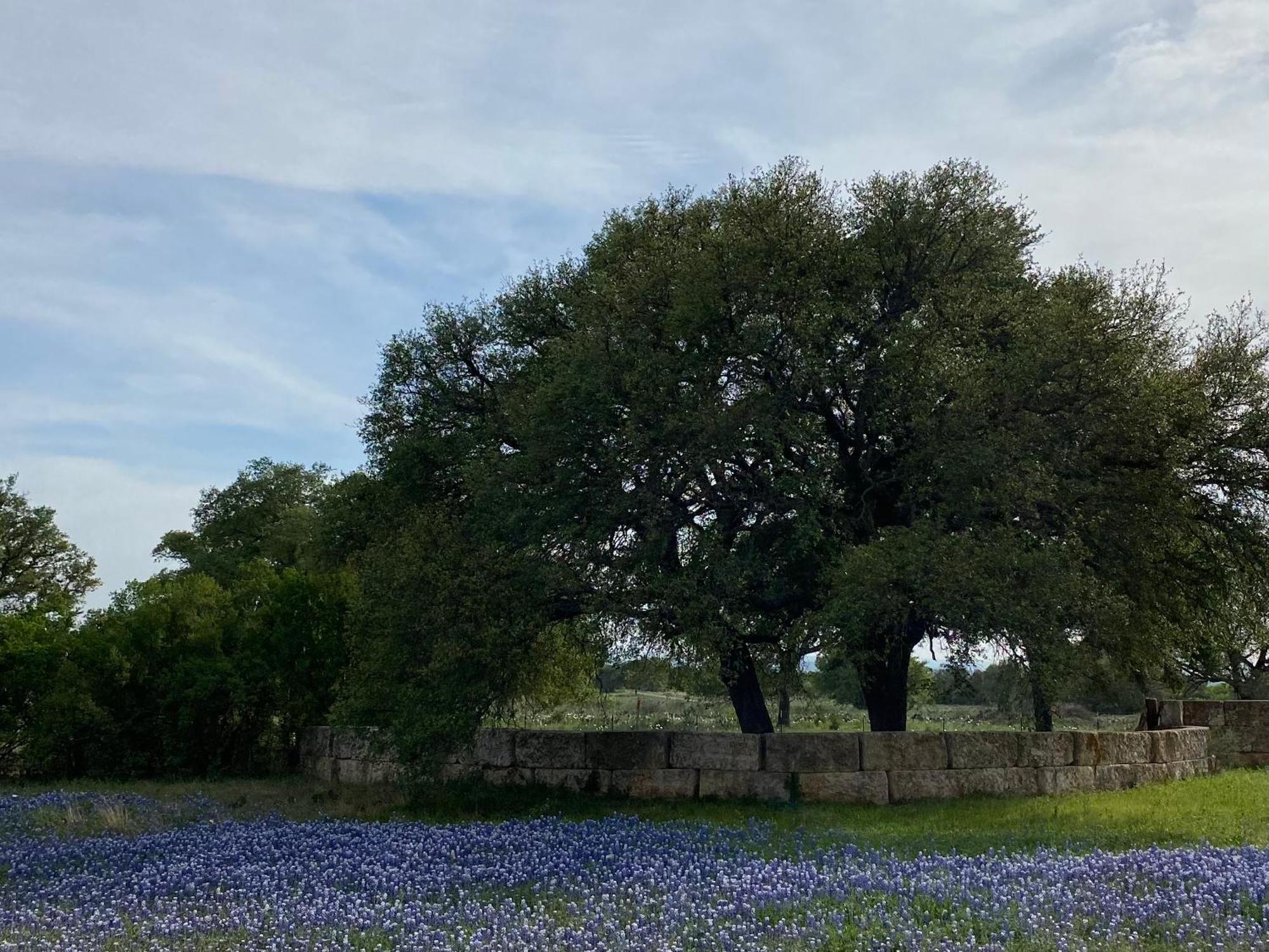 V700 Ranch Stays Marble Falls Exterior foto